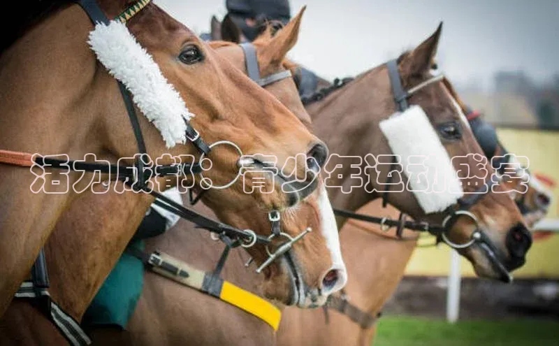门徒平台登录地址